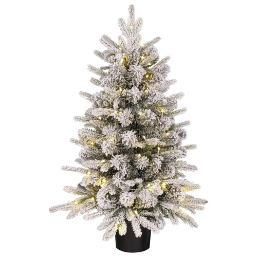 Black box trees sapin - box,