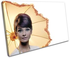 Audrey Hepburn Iconic