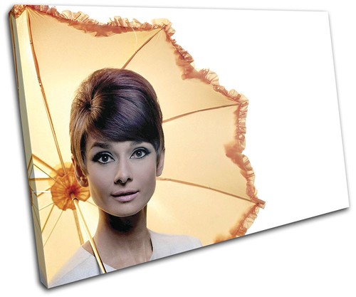 Audrey hepburn iconic - audrey,