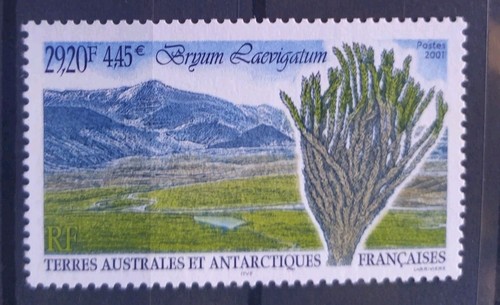 Timbre taaf terres australes - timbre,