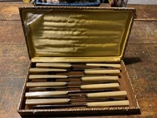 12 COUTEAUX RESINE Corne INOX ETUI STYLE ART DECO