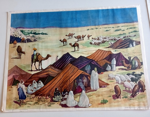 Affiche scolaire campement - affiche,