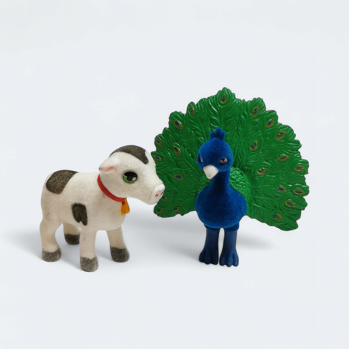Flocekd baby cow - cow, calf