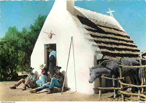 Carte postale animaux - -,