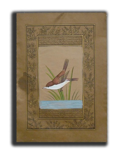 Peinture miniature oiseau