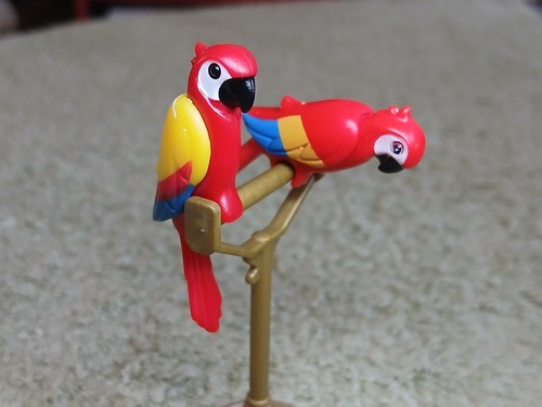 Oiseaux volière 3 - oiseaux, de
