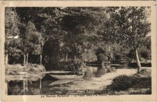 CPA AK Le Marais Poitevin La Vieille Sevre FRANCE (1170700)