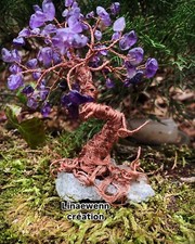 Bonzai Arbre de Vie en