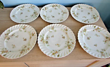 6 assiettes plates porcelaine
