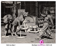 CIRQUE, LE DOMPTEUR DRESSEUR