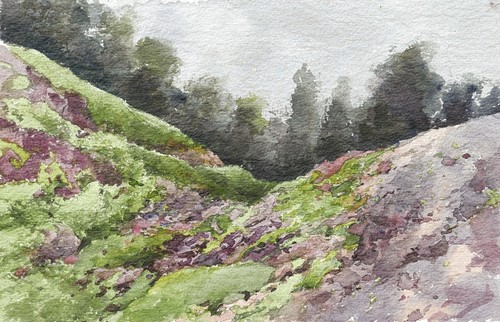 Abel chancel dessin aquarelle - abel,