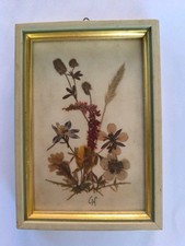 Cadre De Fleurs Séchées Signé Déco Rétro Vintage Doré 