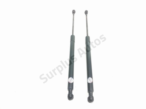 Verin hayon 844308661r renault - verin,