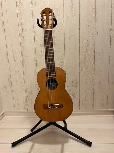 Guitare électrique acoustique