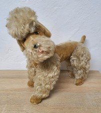 Netter Steiff (?) Caniche