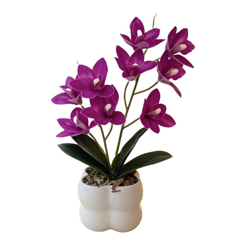 Orchidée cymbidium rose - cymbidium,
