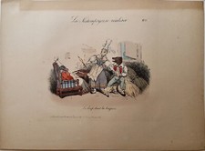 Le loup dans la bergerie