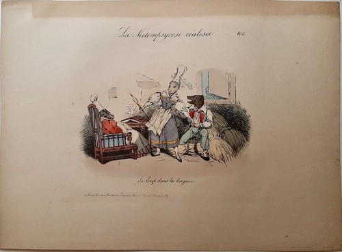 Loup dans bergerie - dans,