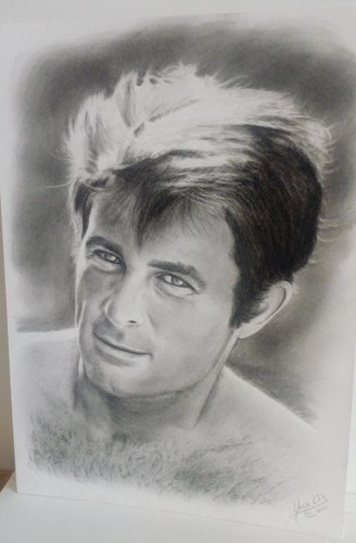 Portrait fusain robert - au,