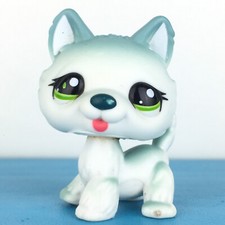 Authentic Littlest Pet Shop #1563 Husky Dog / Original Hasbro LPS