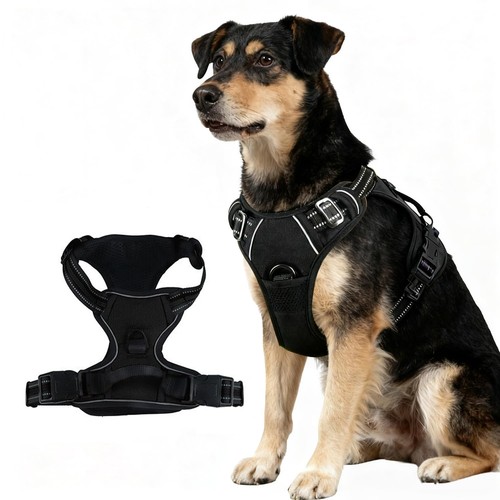 Harnais pour chien taille