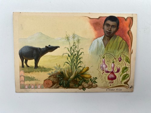 Gouache maquette - gouache,