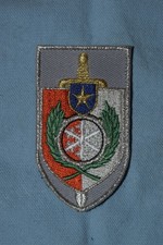 A509 patch insigne écusson armée de Terre régiment militaire lauriers verts