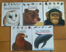 Lot 5 Livres ludiques  Mes