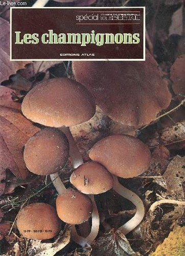 Les champignons spécial - les,