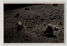 Photographie argentique