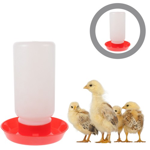 Abreuvoir pour canards - pour,
