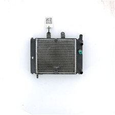 Radiateur eau - DAELIM