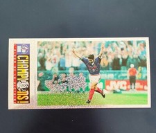 IMAGE BRILLANTE PANINI