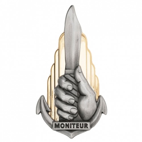 Veritable insigne brevet - insigne,