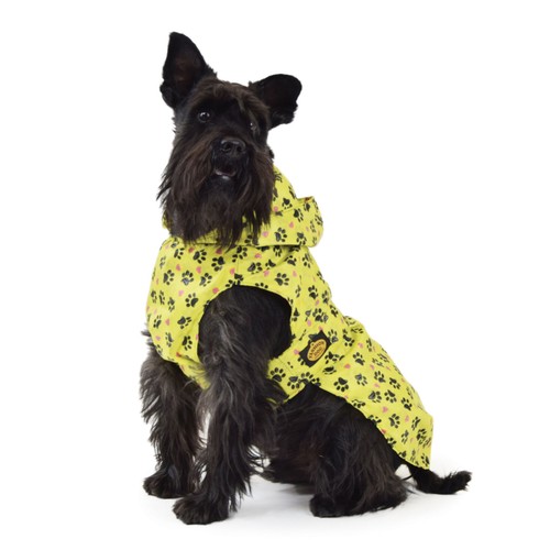 Manteau pluie pour chien - manteau,