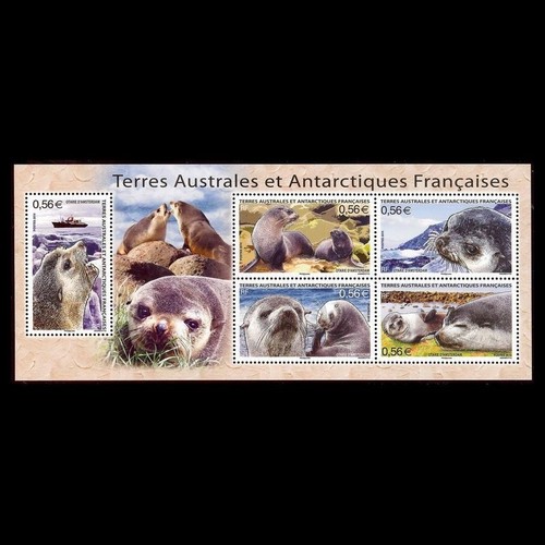 Taaf année complète - année,