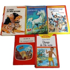 Lot 5 Livres Ideal Bibliothèque Rouge Et Or Jules Verne  Jeunesse Ancien Livre 