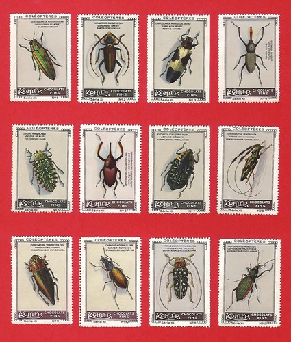 Poster stamps coleoptera - poster,