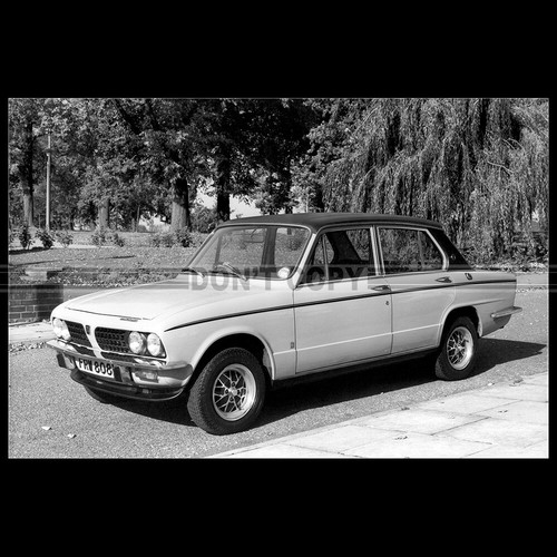 Photo 007617 triumph - photo,
