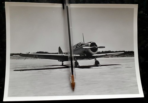 North american texan - north,