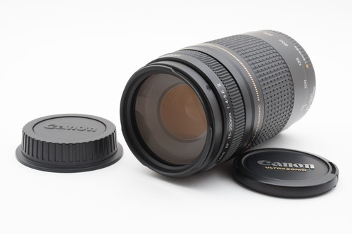 Objectif zoom canon 300 - zoom, ef