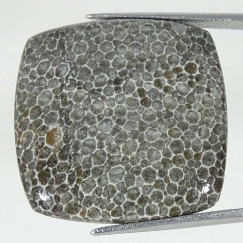 70cts cabochon serti - 34.70cts,