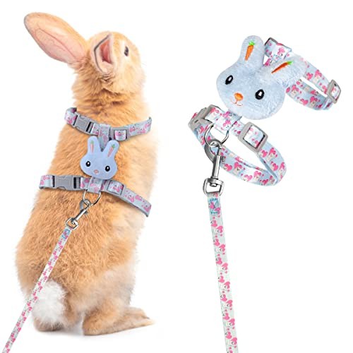 Harnais pour lapin - harnais,