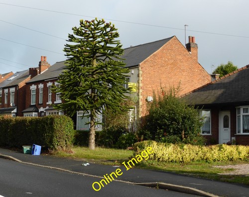 Photo 12x8 165 umberslade - photo,