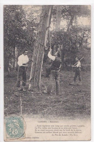 Cpa landes résiniers du - landes,