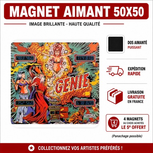 Magnet genie gottlieb pinball - magnet,