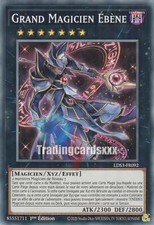 Yu-Gi-Oh! Grand Magicien Ébène : C LDS3-FR092