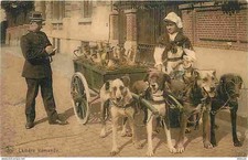 Belgique - Laitière Flamande - Attelage de Chiens - Animée - Carte Neuve - CPA -