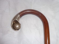 Canne ancienne début XX ème