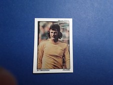 Panini Stenval Football